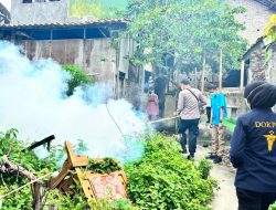 Dinkes Lampung Selatan pastikan lakukan pengasapan di daerah rawan DBD