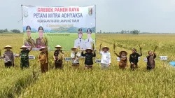 Bulog Lampung Serap Gabah Saat Ramadan