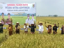 Bulog Lampung Serap Gabah Saat Ramadan